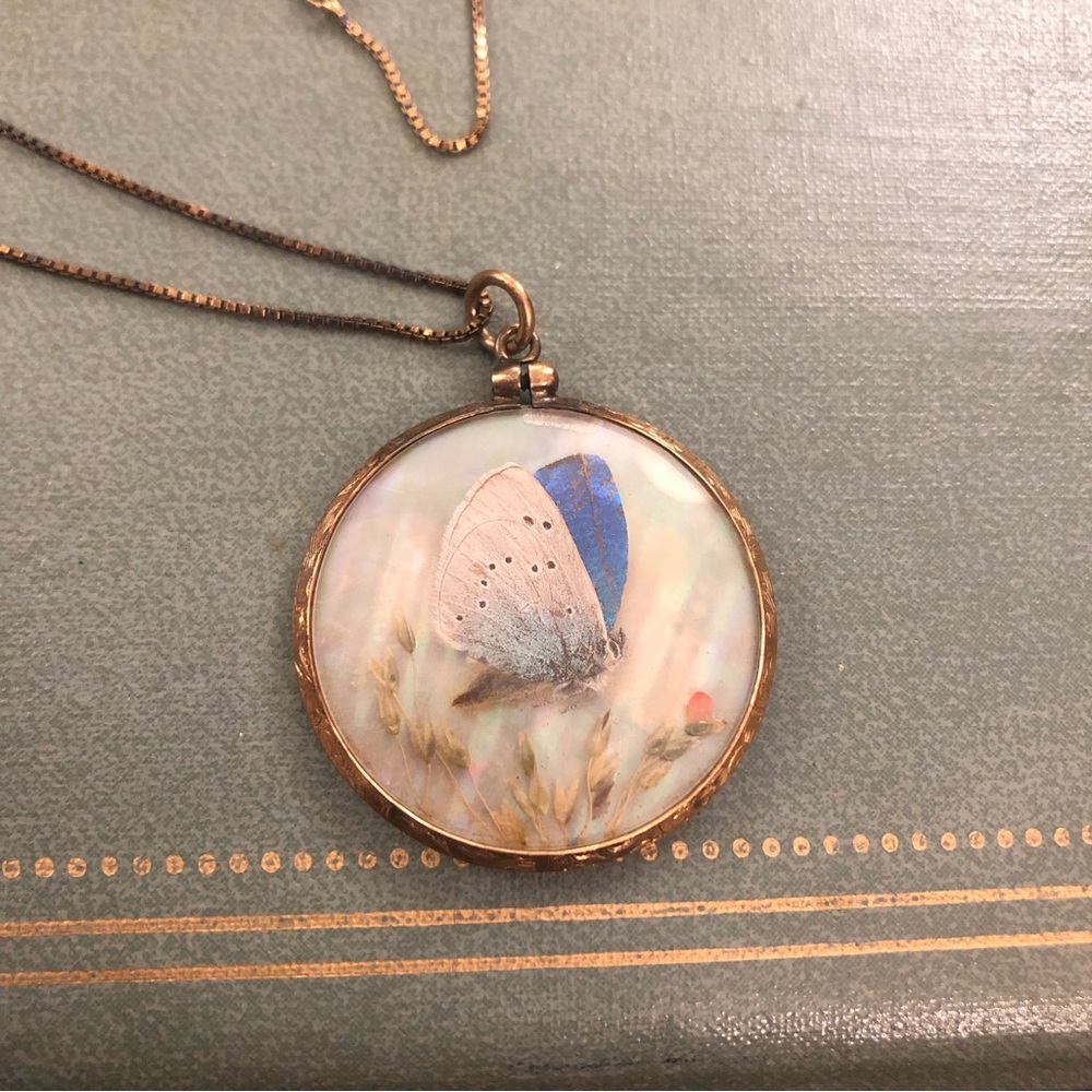 Antique moth butterfly taxidermy necklace.  Real moth - Picture 3 of 6